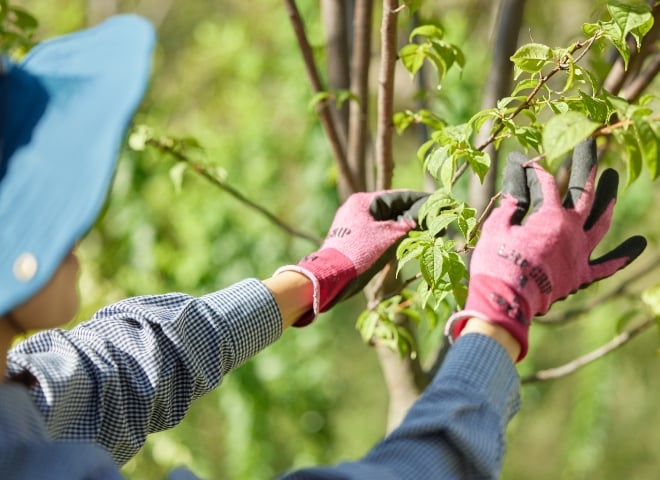 Sustainability and Maintenance