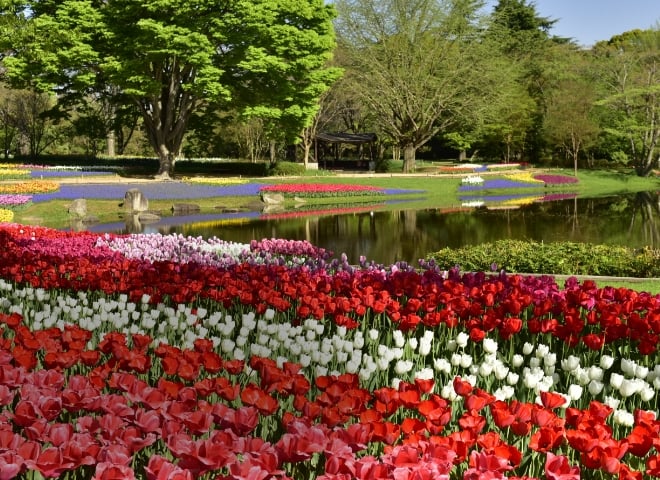 Management and Operation