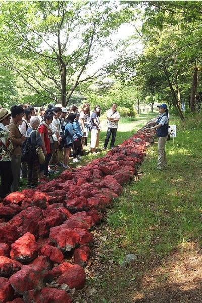 Furano Nature School, Tokyo: Learning about global environmental issues