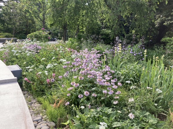 社会課題を解決するガーデン提案