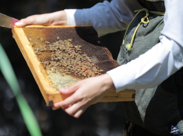 環境学習プログラム