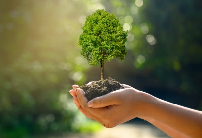 最新のお知らせ