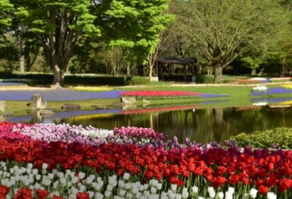 管理・運営（PPP・PFI）