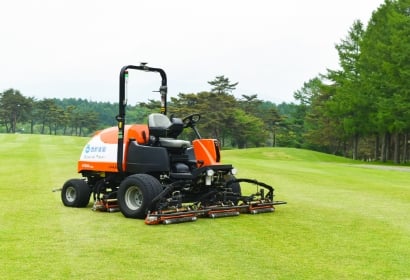 ターフマネジメント