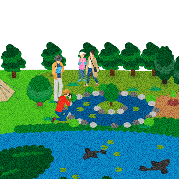 自然再生・環境学習のイラスト