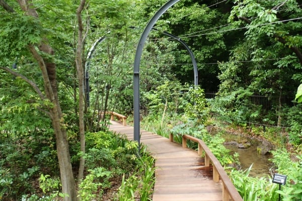 自然再生・環境学習イメージ画像