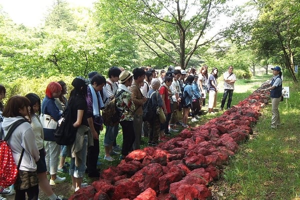 富良野自然塾イメージ画像