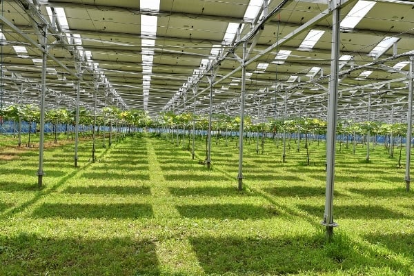 ソーラーシェアリングイメージ画像