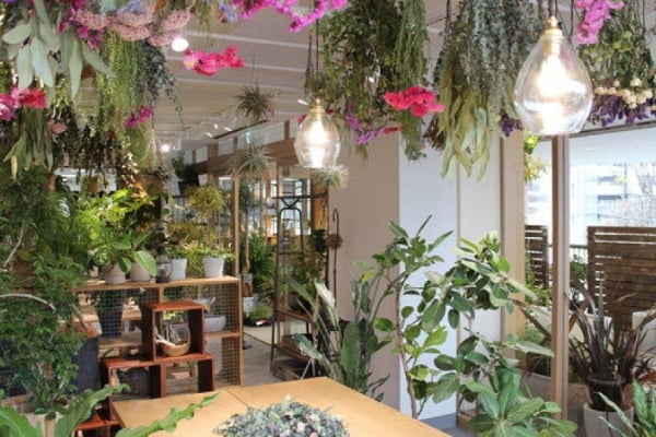 フラワーショップイメージ画像