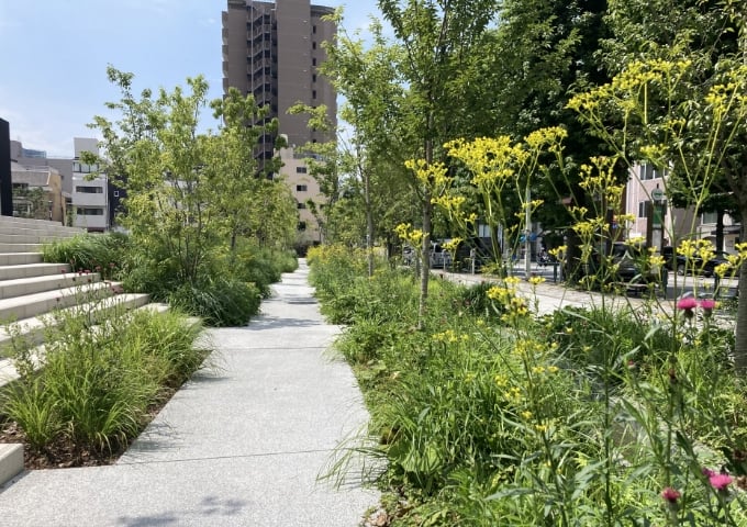 東京都立明治公園