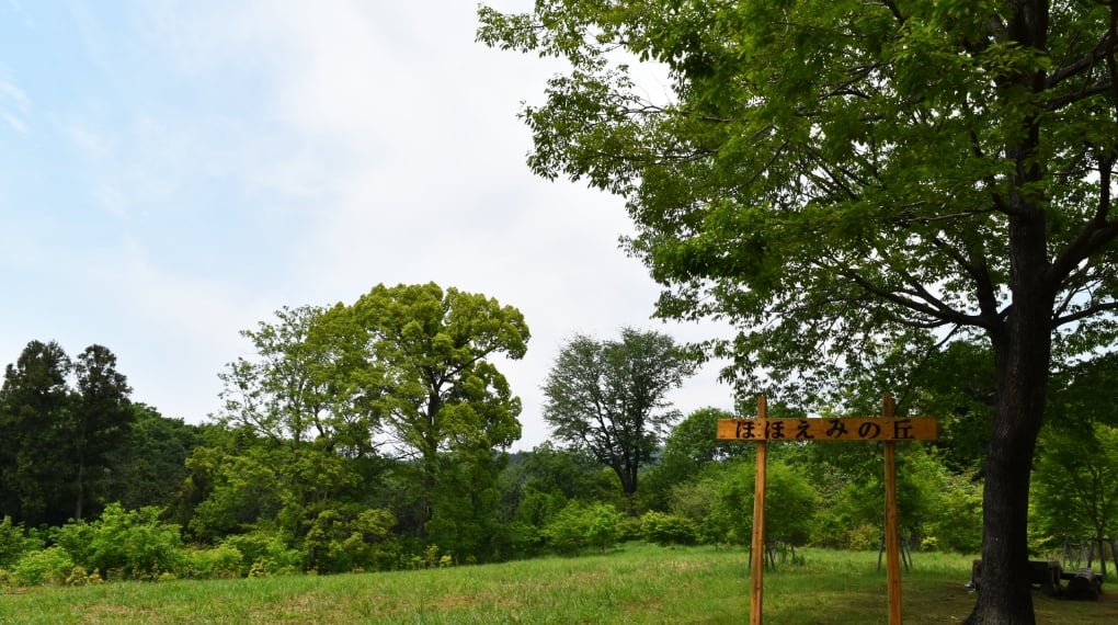 全国各地の大規模森林などを調査し、保全や整備等の方針を提案