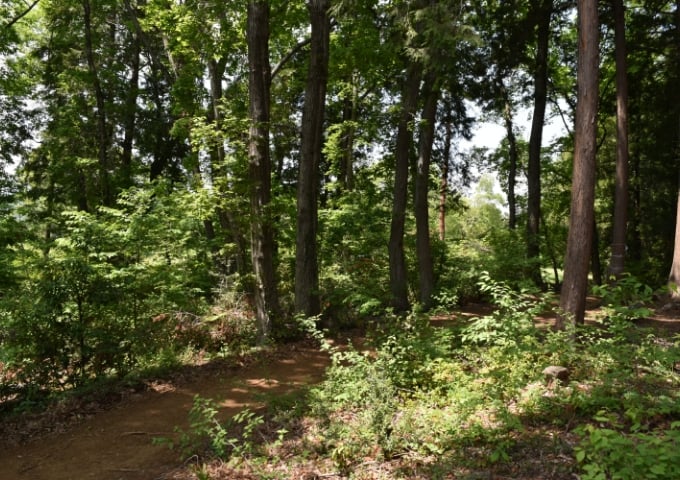 調査・企画（コンサルティング）のイメージ画像