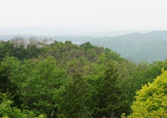 調査・企画（コンサルティング）のイメージ画像