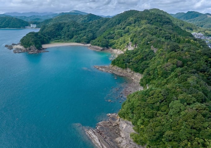 調査・企画（コンサルティング）のイメージ画像