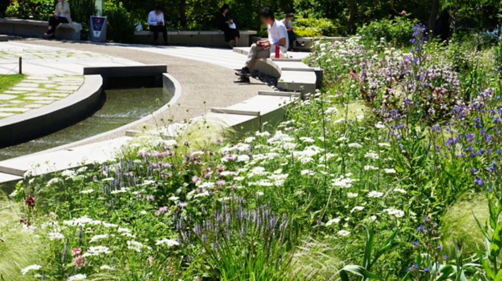 生物多様性保全に貢献し、持続可能なみどり空間をきめ細やかに管理