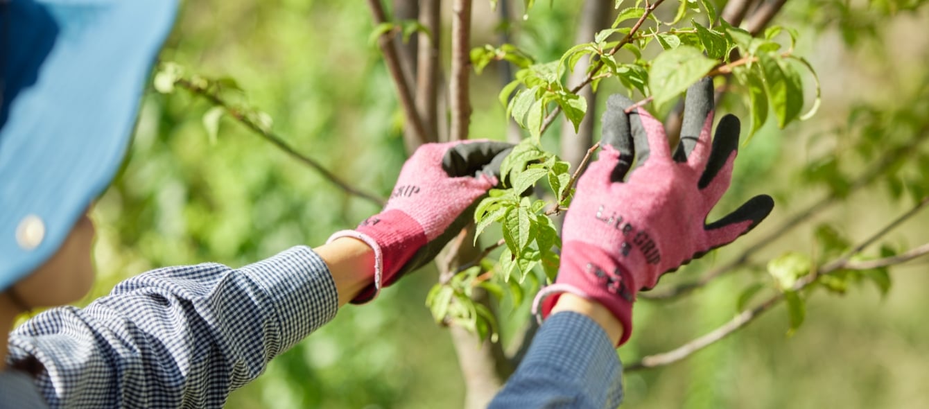 維持管理のイメージ画像