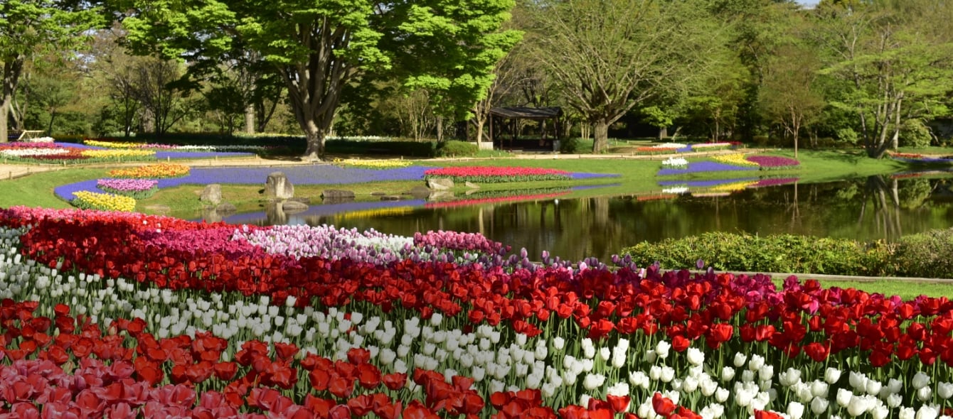 管理・運営のイメージ画像