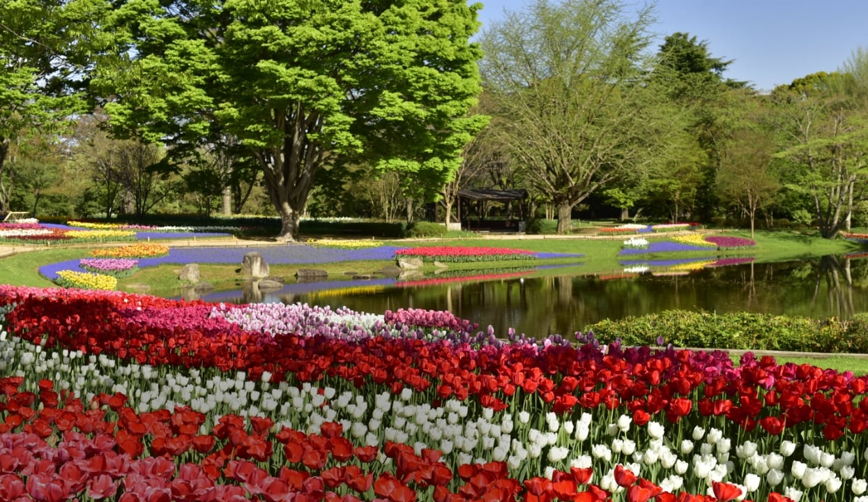 管理・運営（PPP・PFI）