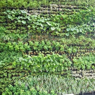 リーフウォール工法