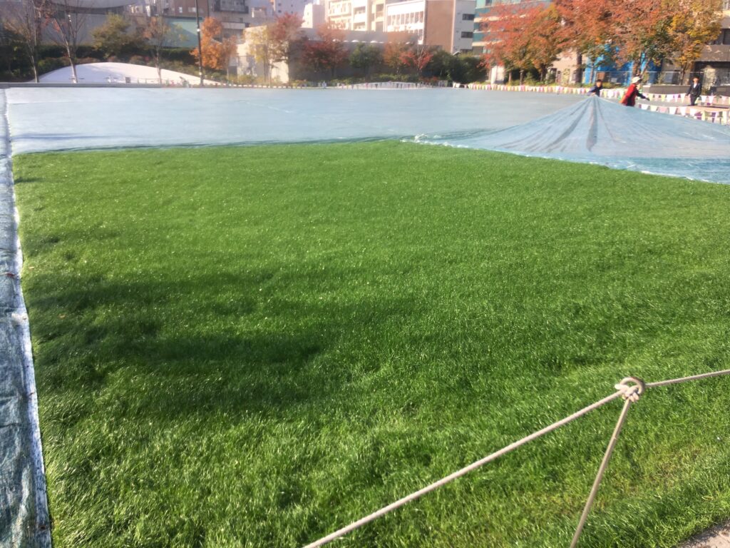 オーバーシード後の養生管理