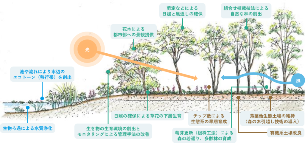 自然再生のイメージ画像