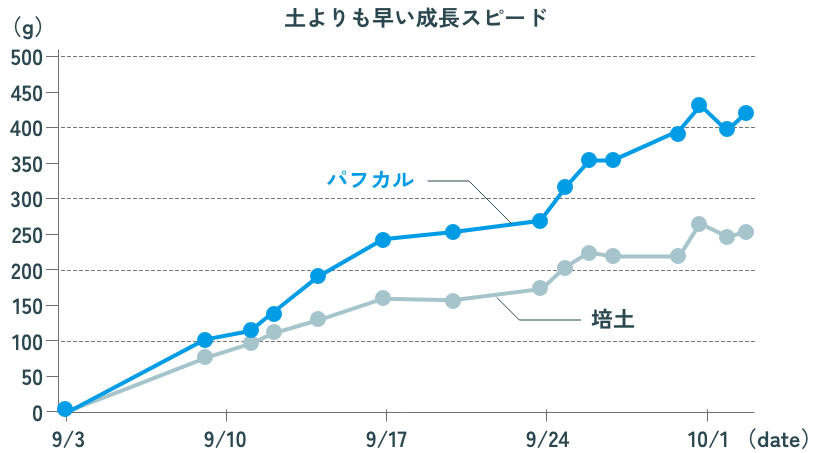 パフカルの特徴
