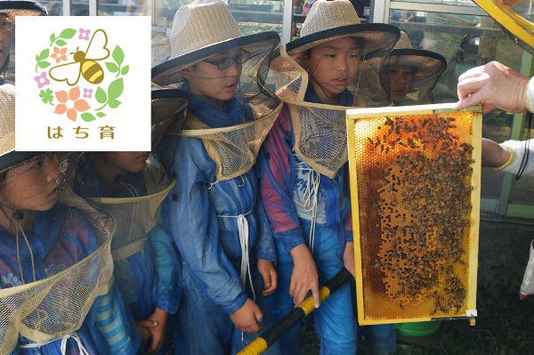 環境教育プログラム「はち育」の取り組み