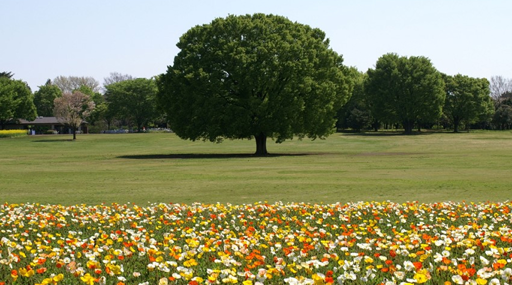 業界最多級の実績