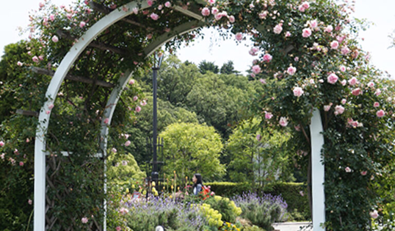 横浜市アメリカ山公園