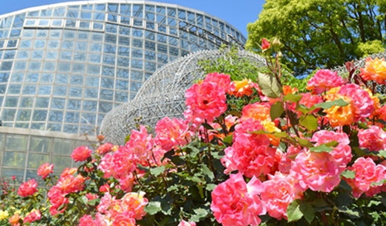 小田原フラワーガーデン