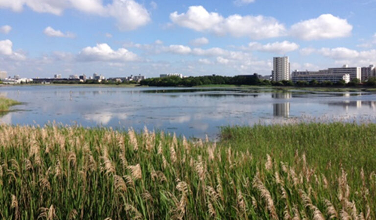 習志野市谷津干潟自然観察センター