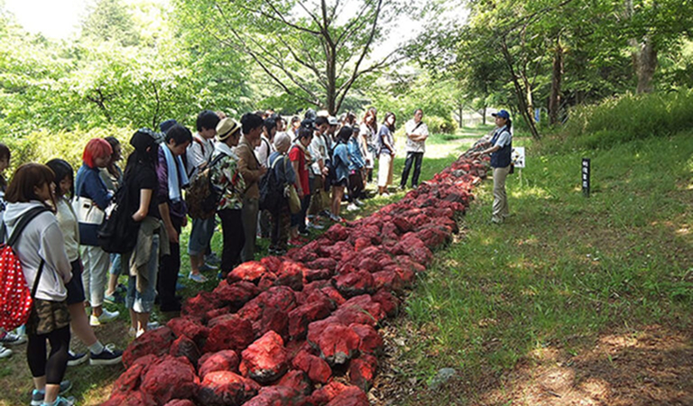 46億年・地球の道
