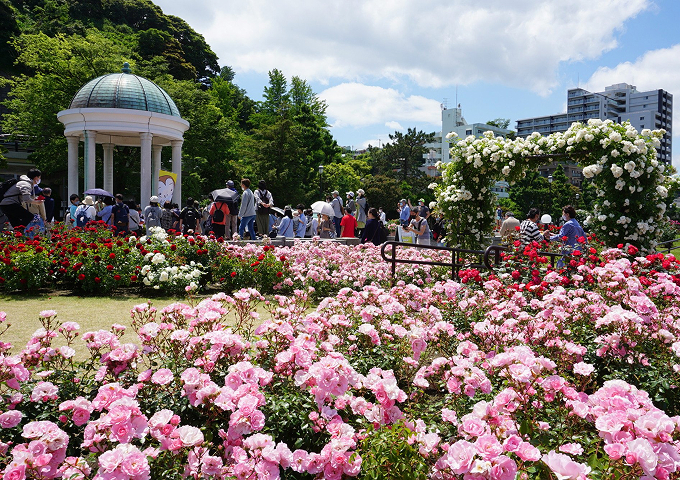 管理・運営のイメージ画像