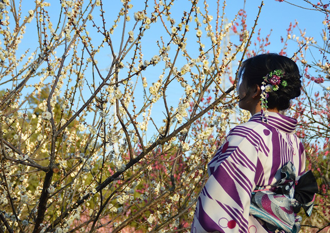 管理・運営のイメージ画像