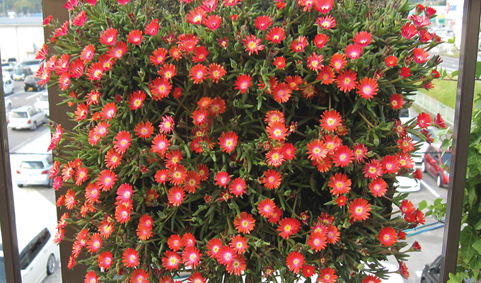 パネルタイプのイメージ