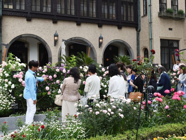 ローズスタイリストを招いたガイドツアー