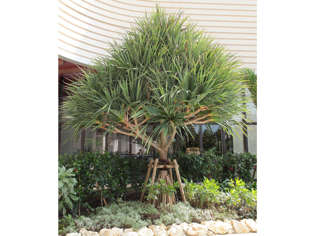 沖縄プリンスホテルオーシャンビューぎのわん