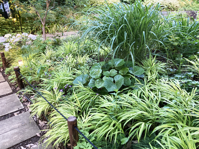 5月中～下旬の様子