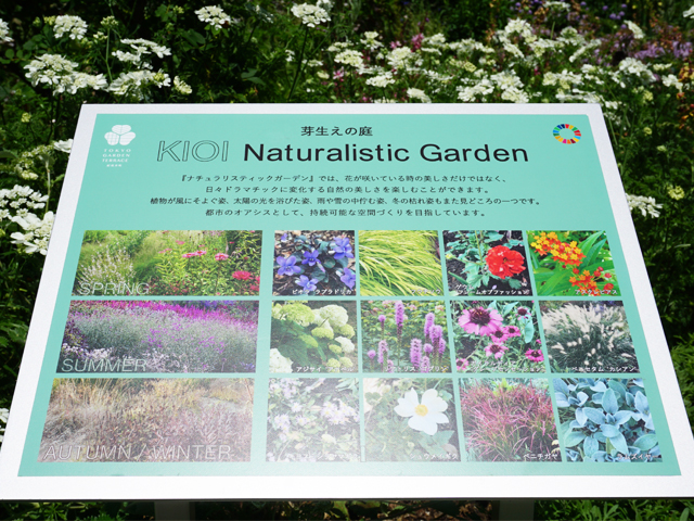 季節の花々を紹介するサイン看板