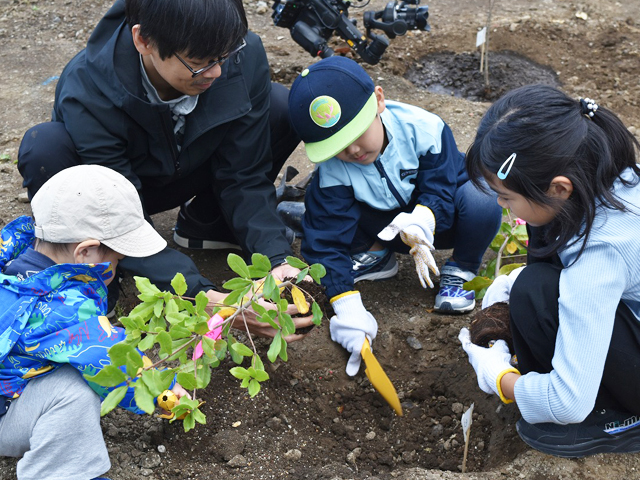 植樹祭の開催