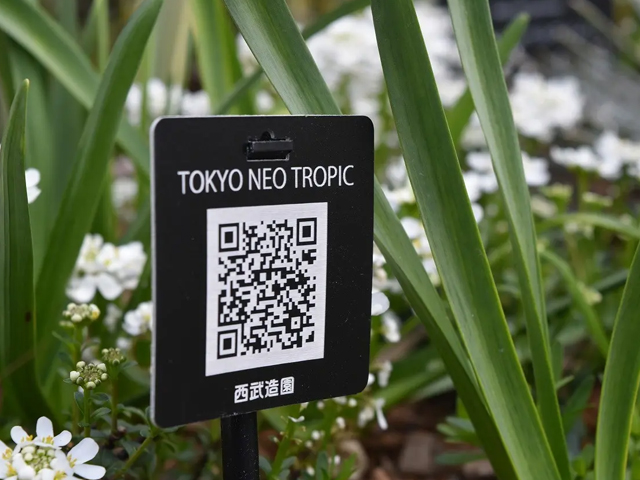 メンテナンススタッフによる植物情報の発信