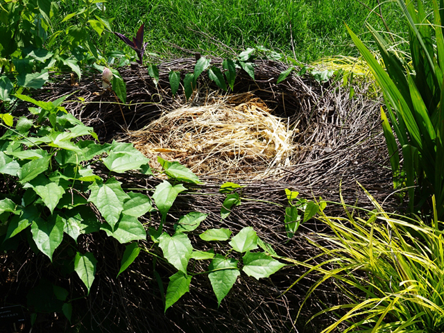 コンポストとバイオネストによる「循環型再生管理」