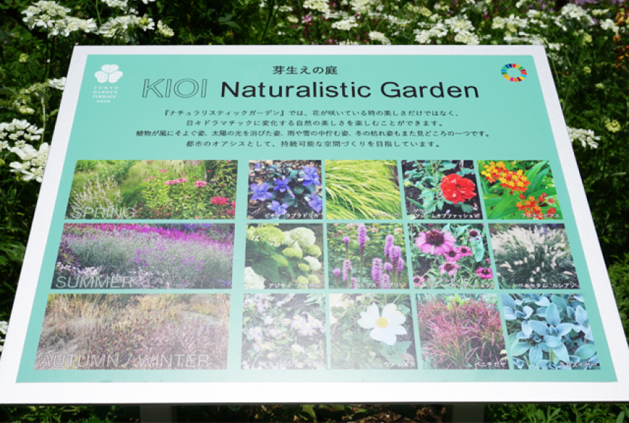 ナチュラリスティックガーデン①