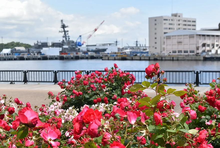 横須賀市ヴェルニー公園①