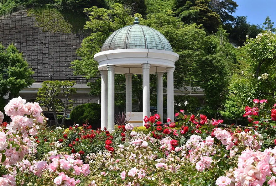 横須賀市ヴェルニー公園②