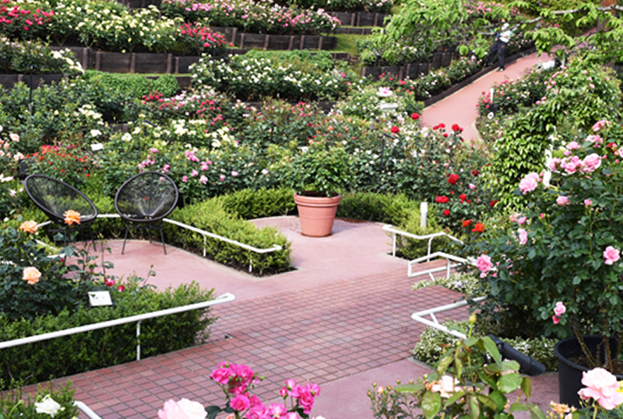 西武園ゆうえんち①