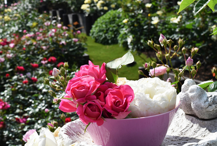 西武園ゆうえんち③