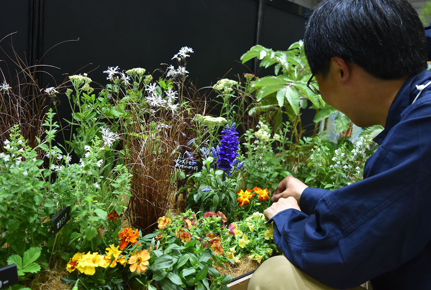 ガーデン作りの様子②